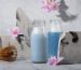 Cách Làm Nước Lau Sàn Tự Nhiên Tại Nhà